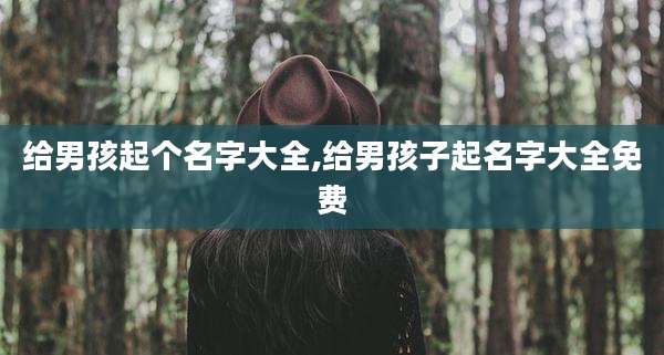 给男孩起个名字大全,给男孩子起名字大全免费