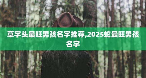 草字头最旺男孩名字推荐,2025蛇最旺男孩名字