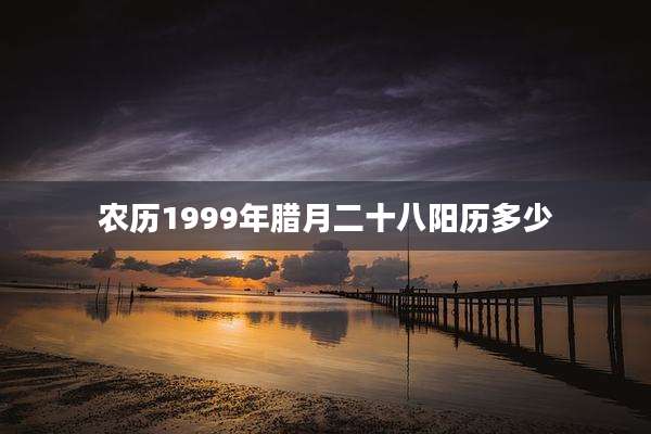 农历1999年腊月二十八阳历多少