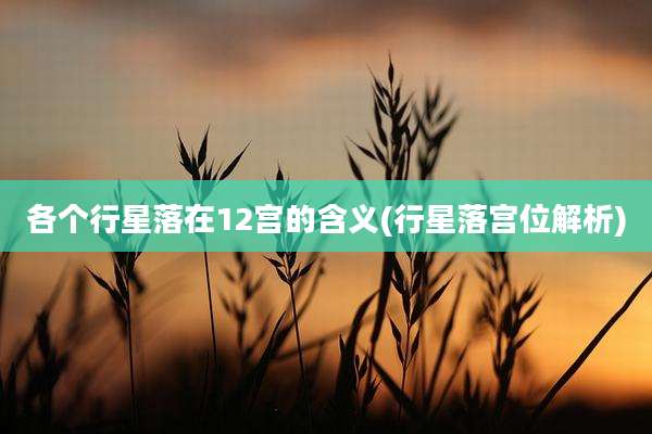 各个行星落在12宫的含义(行星落宫位解析)