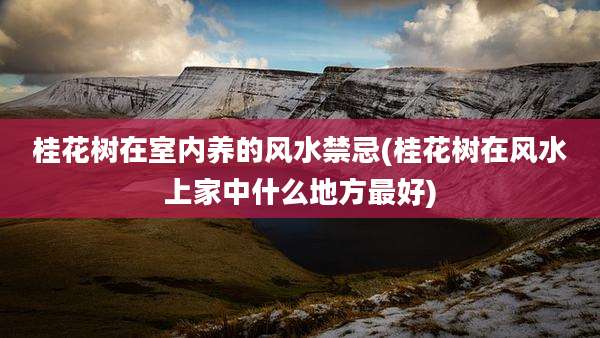桂花树在室内养的风水禁忌(桂花树在风水上家中什么地方最好)
