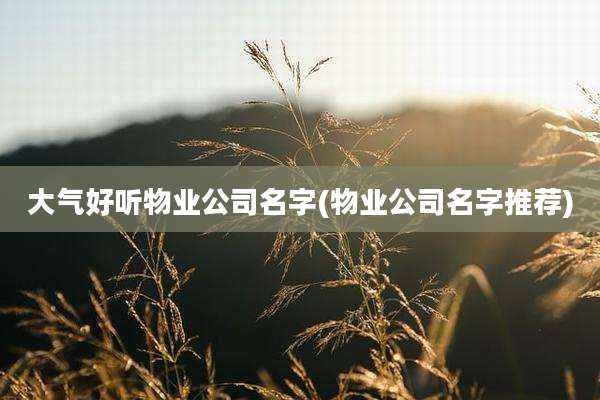 大气好听物业公司名字(物业公司名字推荐)