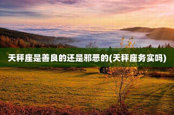 天秤座是善良的还是邪恶的(天秤座务实吗)