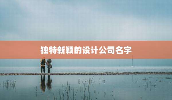 独特新颖的设计公司名字