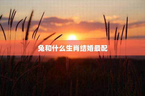兔和什么生肖结婚最配