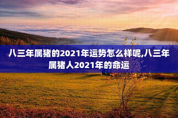 八三年属猪的2021年运势怎么样呢,八三年属猪人2021年的命运