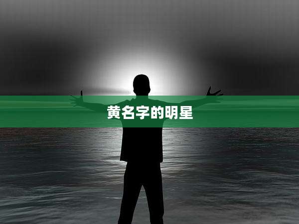 黄名字的明星