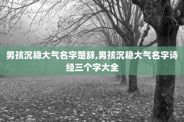 男孩沉稳大气名字楚辞,男孩沉稳大气名字诗经三个字大全