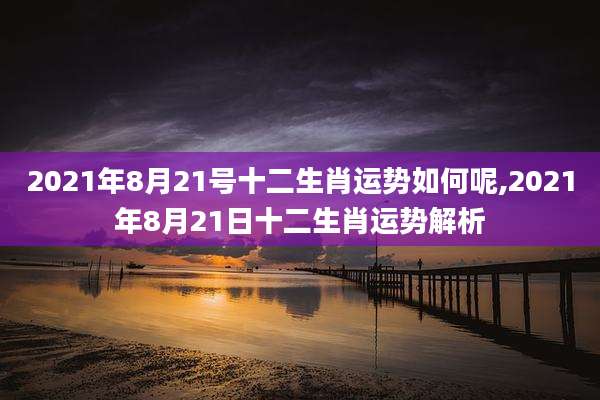 2021年8月21号十二生肖运势如何呢,2021年8月21日十二生肖运势解析