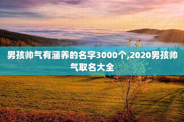 男孩帅气有涵养的名字3000个,2020男孩帅气取名大全
