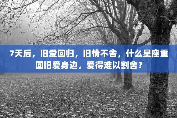 7天后，旧爱回归，旧情不舍，什么星座重回旧爱身边，爱得难以割舍？