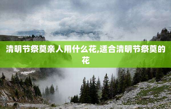 清明节祭奠亲人用什么花,适合清明节祭奠的花