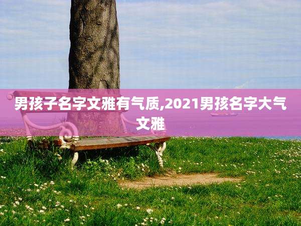 男孩子名字文雅有气质,2021男孩名字大气文雅