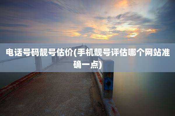 电话号码靓号估价(手机靓号评估哪个网站准确一点)