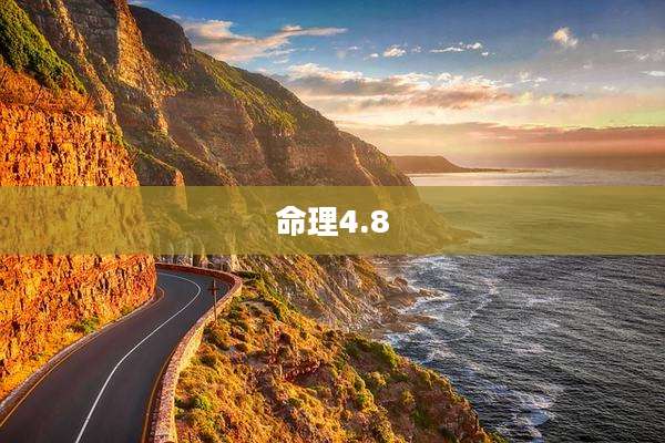 命理4.8