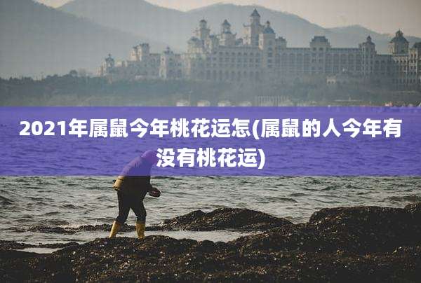 2021年属鼠今年桃花运怎(属鼠的人今年有没有桃花运)