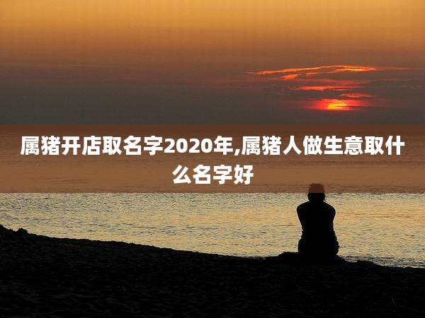 属猪开店取名字2020年,属猪人做生意取什么名字好