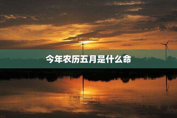 今年农历五月是什么命