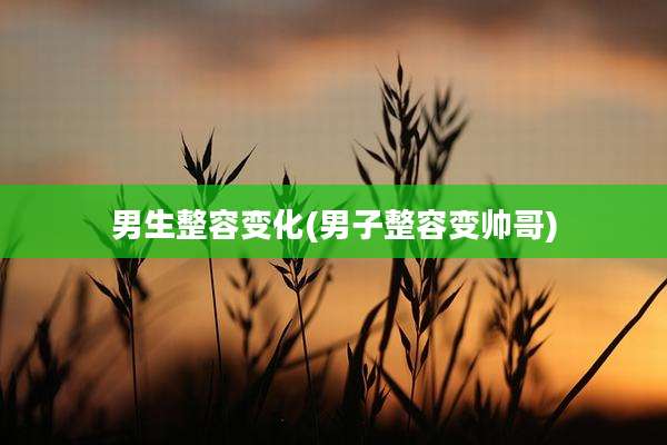 男生整容变化(男子整容变帅哥)