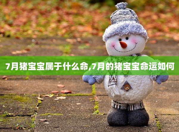 7月猪宝宝属于什么命,7月的猪宝宝命运如何
