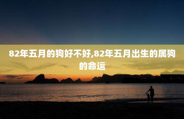 82年五月的狗好不好,82年五月出生的属狗的命运