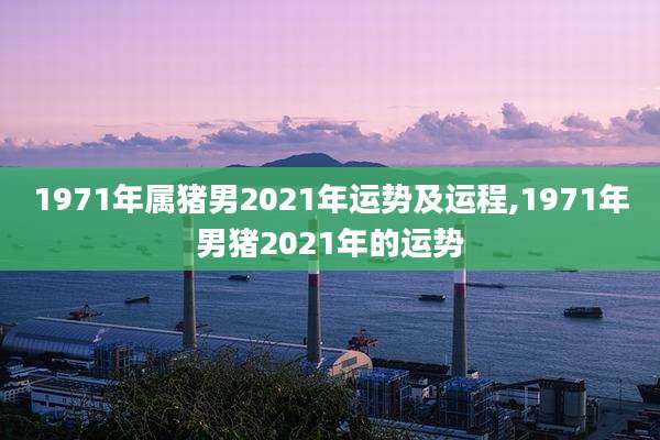 1971年属猪男2021年运势及运程,1971年男猪2021年的运势