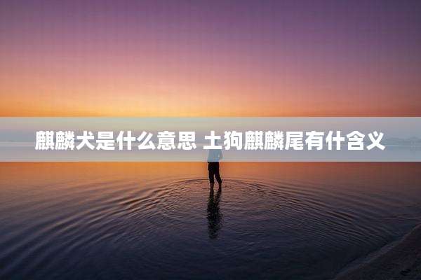 麒麟犬是什么意思 土狗麒麟尾有什含义
