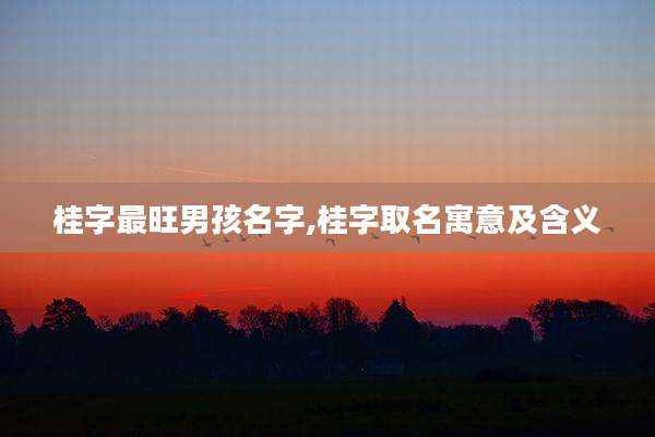 桂字最旺男孩名字,桂字取名寓意及含义