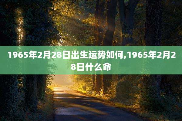 1965年2月28日出生运势如何,1965年2月28日什么命