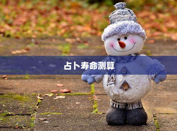 占卜寿命测算
