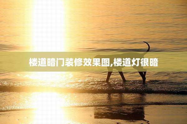 楼道暗门装修效果图,楼道灯很暗