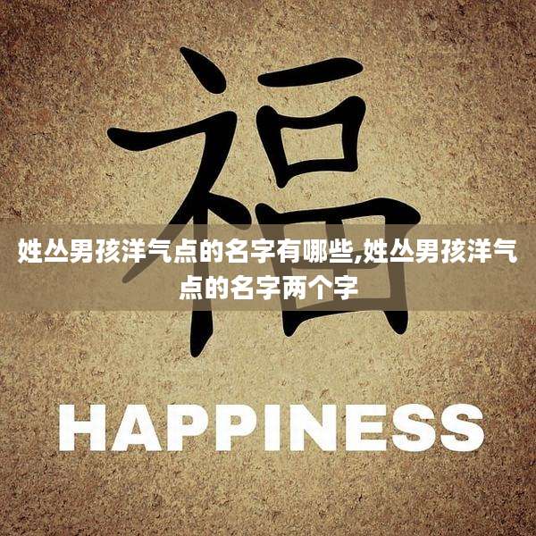 姓丛男孩洋气点的名字有哪些,姓丛男孩洋气点的名字两个字