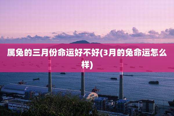 属兔的三月份命运好不好(3月的兔命运怎么样)