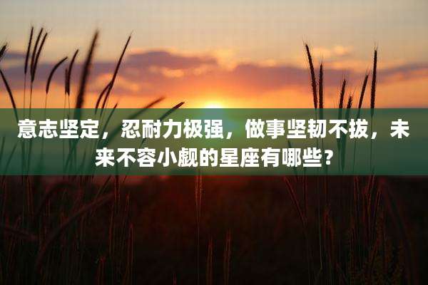 意志坚定，忍耐力极强，做事坚韧不拔，未来不容小觑的星座有哪些？