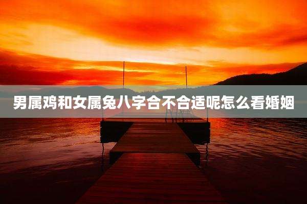 男属鸡和女属兔八字合不合适呢怎么看婚姻