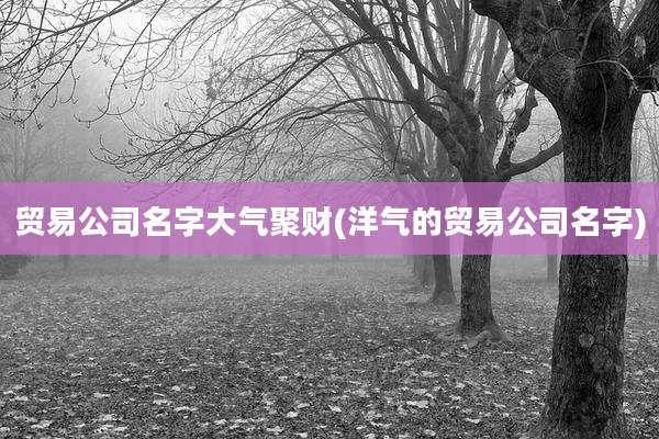 贸易公司名字大气聚财(洋气的贸易公司名字)