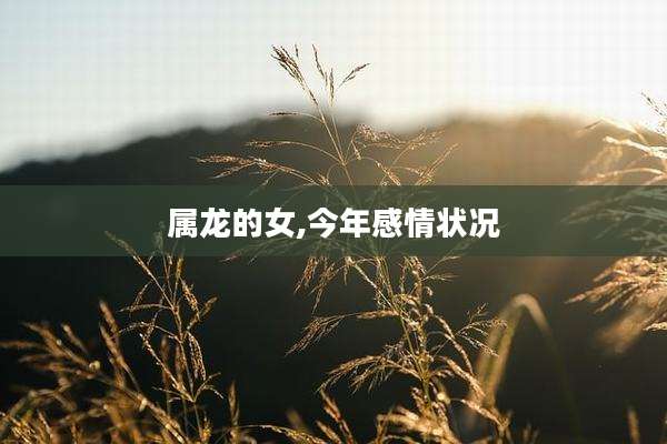 属龙的女,今年感情状况