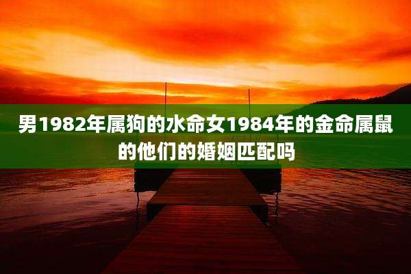 男1982年属狗的水命女1984年的金命属鼠的他们的婚姻匹配吗