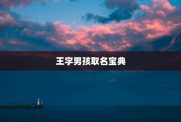 王字男孩取名宝典