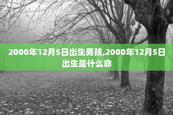 2000年12月5日出生男孩,2000年12月5日出生是什么命