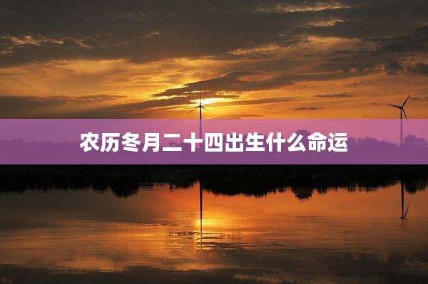 农历冬月二十四出生什么命运