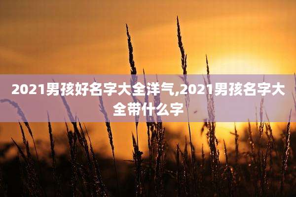 2021男孩好名字大全洋气,2021男孩名字大全带什么字