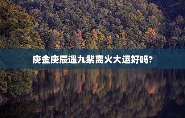 庚金庚辰遇九紫离火大运好吗?