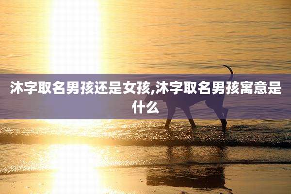 沐字取名男孩还是女孩,沐字取名男孩寓意是什么