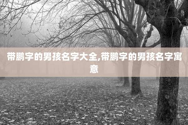 带鹏字的男孩名字大全,带鹏字的男孩名字寓意