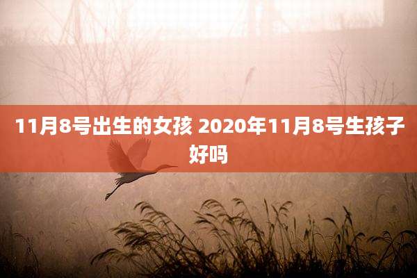 11月8号出生的女孩 2020年11月8号生孩子好吗