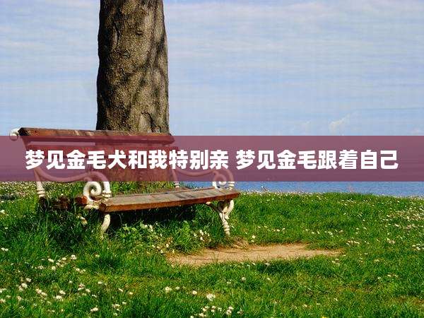梦见金毛犬和我特别亲 梦见金毛跟着自己
