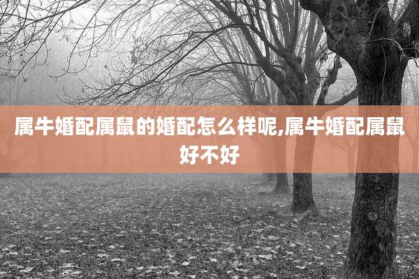 属牛婚配属鼠的婚配怎么样呢,属牛婚配属鼠好不好