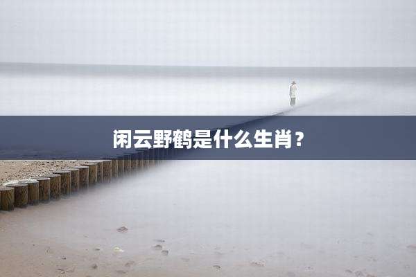 闲云野鹤是什么生肖？