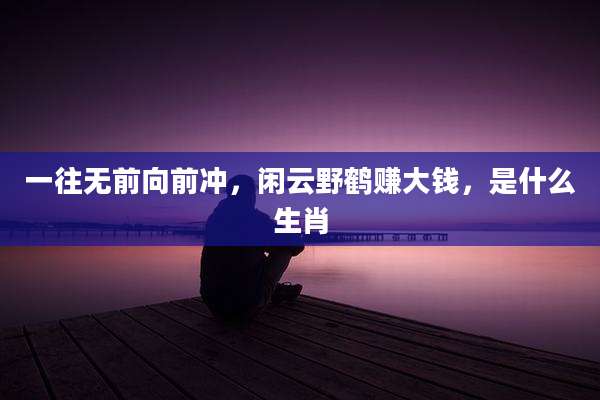 一往无前向前冲，闲云野鹤赚大钱，是什么生肖